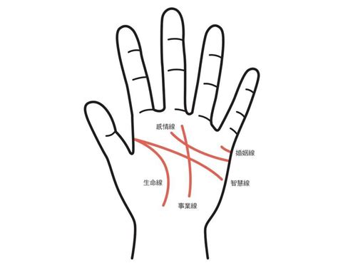 感情線智慧線相連|【手相館】掌紋 (生命線、感情線、智慧線、婚姻線、太陽線、火。